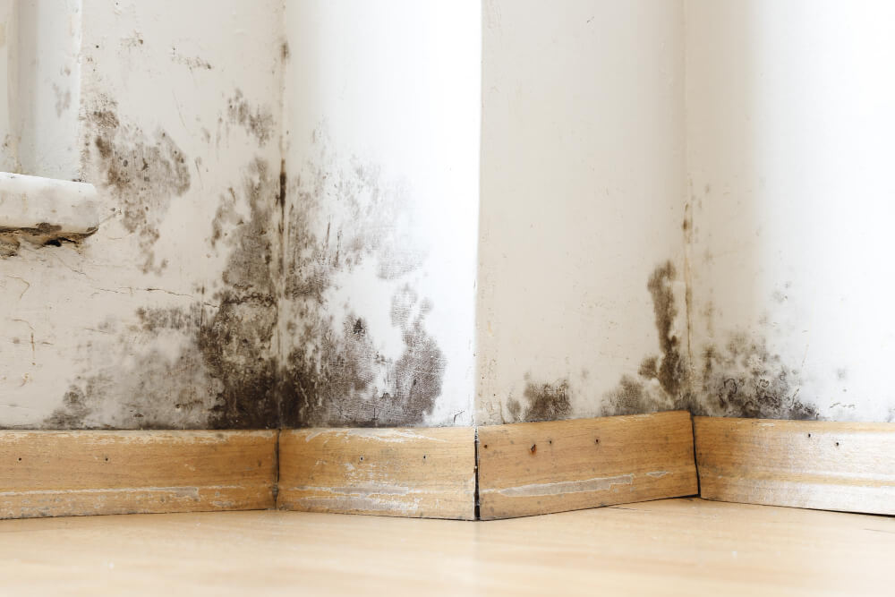 Indoor moisture problems